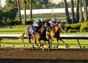 Bob Baffert runs Starlet Stakes streak to 9 with Consequent