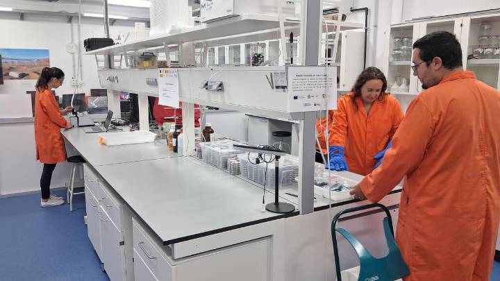 Canarias es el archipiélago más castigado por los microplásticos de toda la Macaronesia