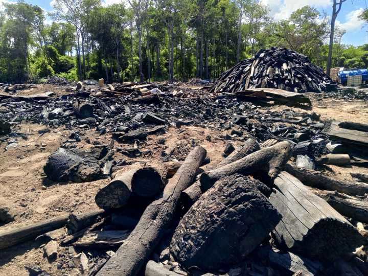 Retienen más de 13 toneladas de carbón vegetal procesado ilegalmente en el estado Miranda