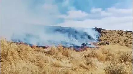 Yauyos: alcalde de Viñac pide urgente ayuda tras destrucción de pastizales en incendio forestal