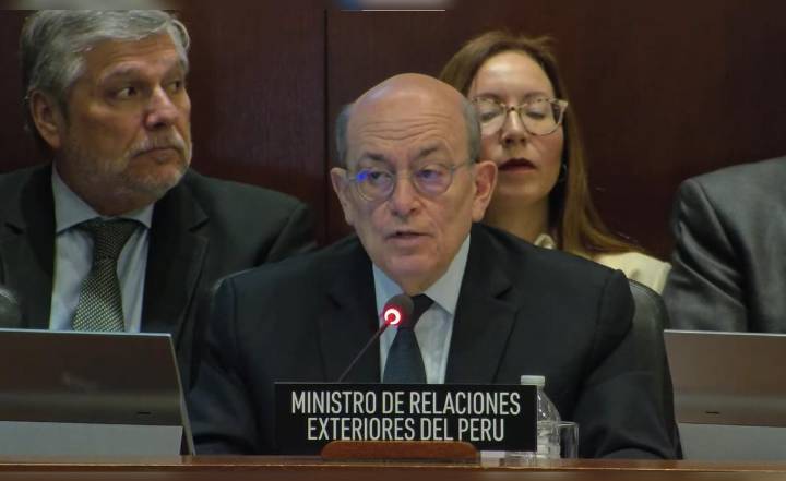 Canciller sustenta ante la OEA posición de Perú sobre asilo: "Se ha distorsionado"