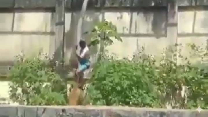 Entró a la jaula de un león y fue devorado