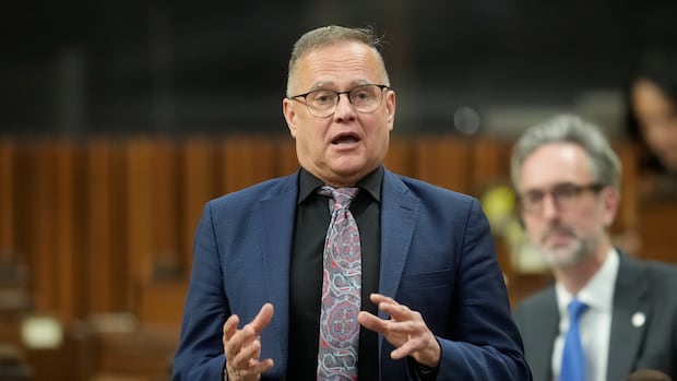 Ottawa says it's working on long-term fix for CRA as 'Band