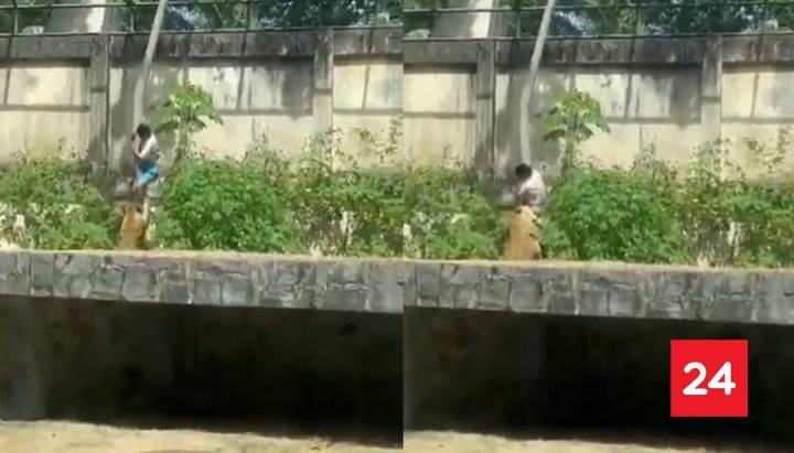 IMÁGENES SENSIBLES | Hombre murió al ingresar a recinto de leona en zoológico en Brasil