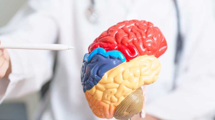 Jorge Alcalde, divulgador científico, sobre las edades y el cuidado del cerebro: " Ha ciertas edades hay que empezar a cuidarse"