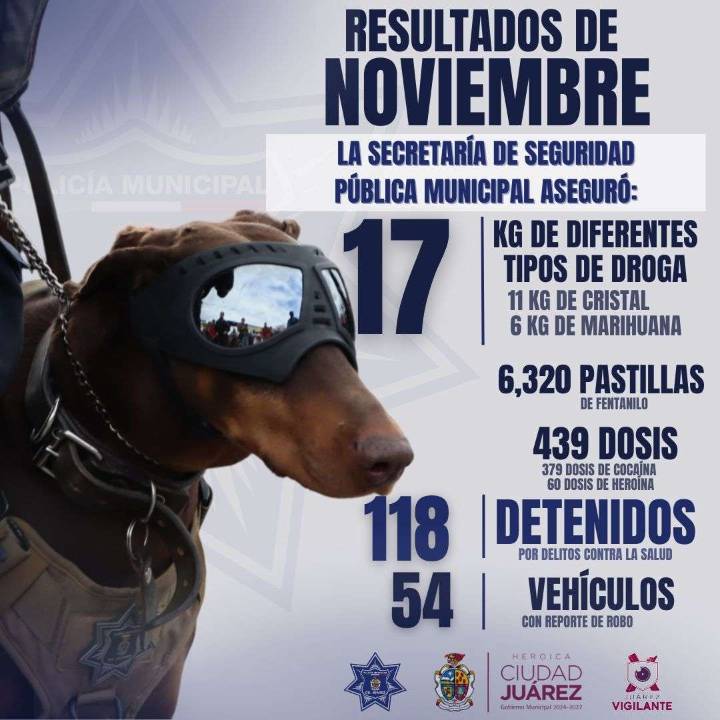 Reportan resultados de noviembre en aseguramiento de droga y recuperación de vehículos