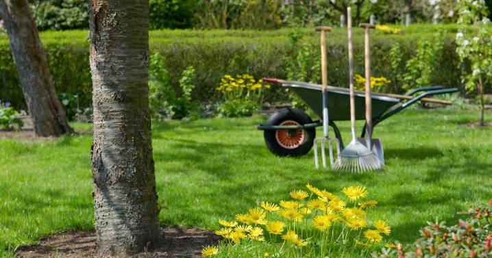 Gardeners urged to do 1 key task in December to help lawns survive winter weather