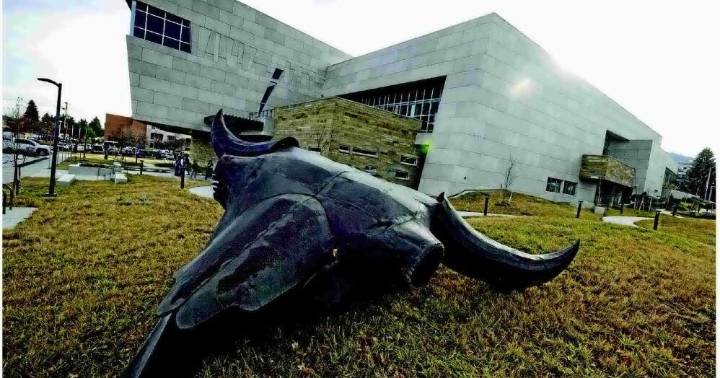 'THIS IS YOUR STORY'