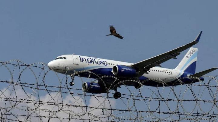 IndiGo slashes cancellations to below 850 as airline restores flight operations