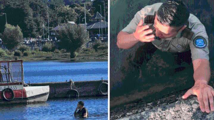 Carabinero se lanzó al Lago Villarrica para detener a prófugo: individuo huyó nadando