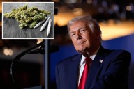Cannabis stocks spike on reports Trump plans to ease federal pot restrictions