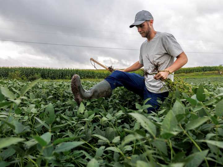 Trump announces $12bn package to aid farmers hurt by his tariffs