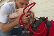 Florida Man Adopts Dog After Seeing Someone Abandon the Pet in Viral Video