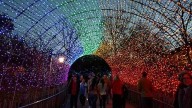 Cincinnati Zoo's lights voted best in nation for 8th year in a row