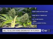 New Florida bill would let patients grow their own marijuana