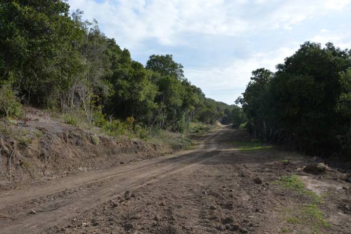 Justicia ambiental marca un precedente: rematarán propiedades de inmobiliaria condenada por daño