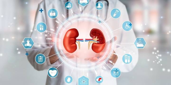 La mala salud renal puede influir en la demencia y el riesgo de Alzheimer