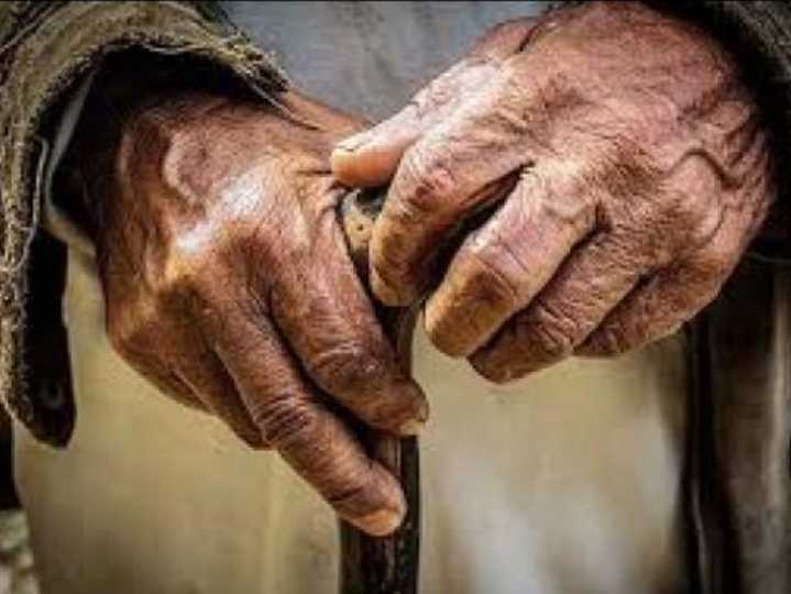 'By 2036, 1-of-7 Indians will be elderly,' claims MoS:Lok Sabha warns this affect healthcare, social security economic dependence