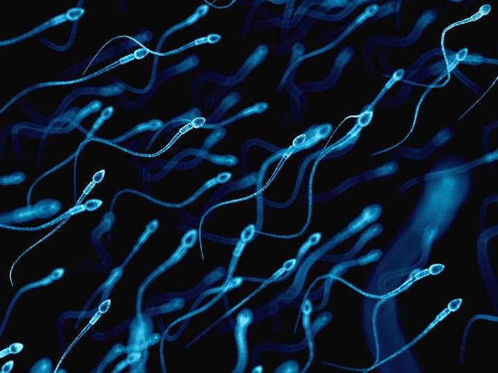 Sperm donor with cancer-causing gene fathered close to 200 kids