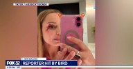 WATCH: Reporter Interrupted By Bird Literally Flying Into Her Face