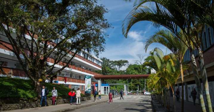 UTP abre becas para estudiar doctorados: hay 50 cupos con créditos condonables