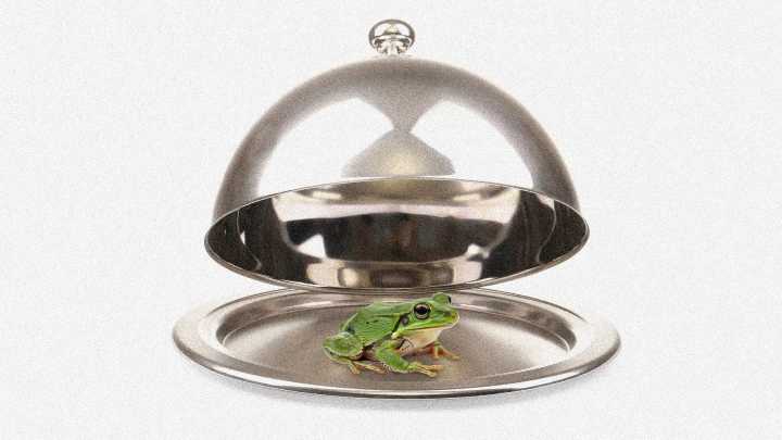 ‘Eat the frog’: How getting unpleasant things out of the way makes for a fulfilling day