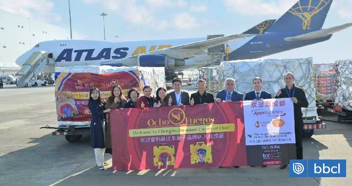 Avanza la temporada de cerezas chilenas y destacan carga hacia China con sistema "anti