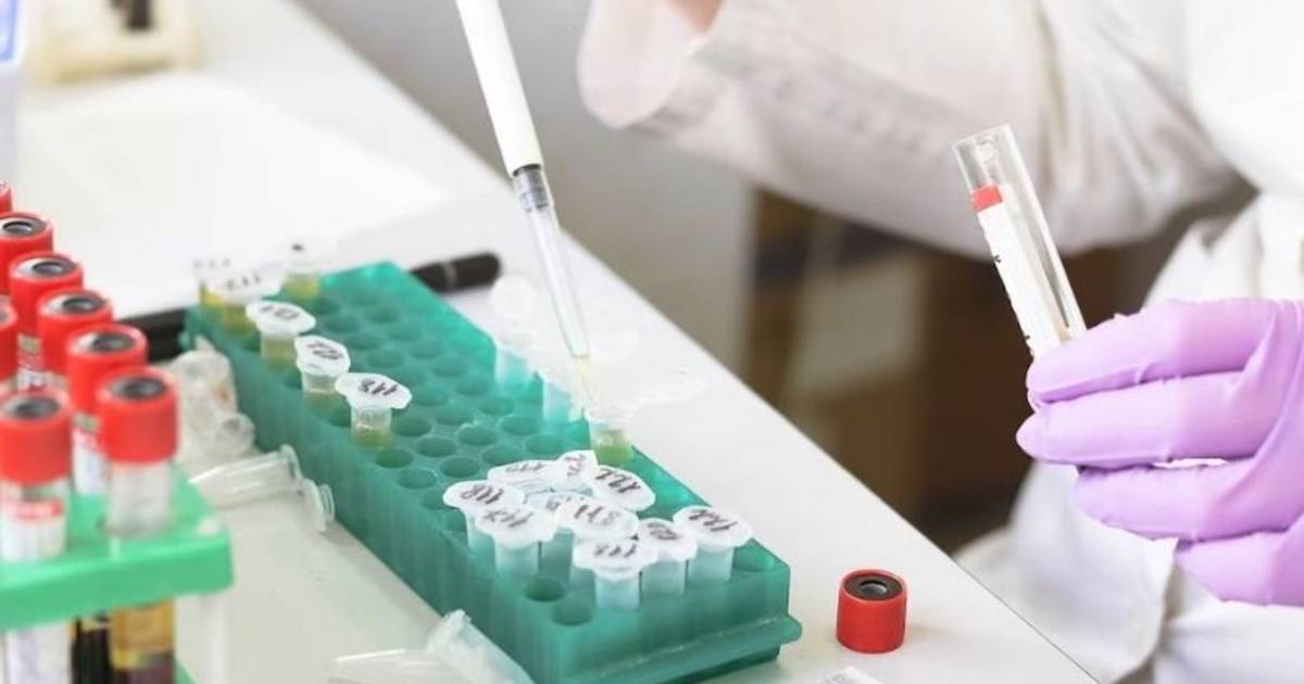 Concejales de Potrero de Los Funes rechazan someterse al narcotest