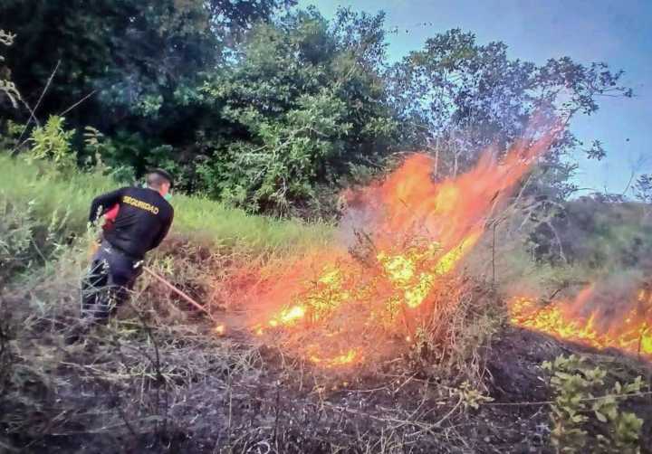 Incendios forestales: Indeci pide tomar previsiones frente a siniestros en 4 departamentos