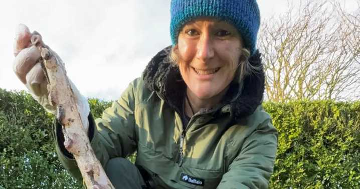 Remains of seven-arm deep-sea creature discovered on Scots beach