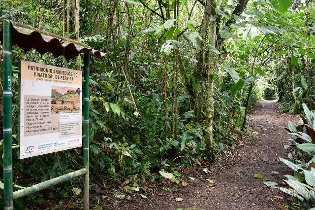 Crece el bosque urbano de Pereira