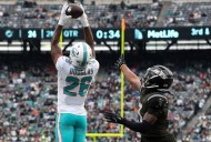 Dolphins' belief in themselves leading to late