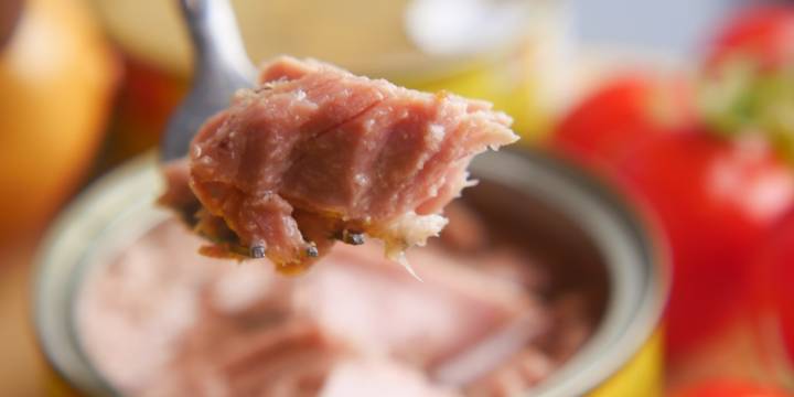 Qué pasa si como atún todos los días