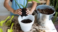 Don't Let Your Container Garden Soil Go To Waste. How To Store It For Winter