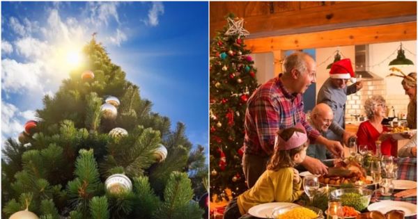 Pronostico navideño: el informe que todos miran antes de planificar la celebración