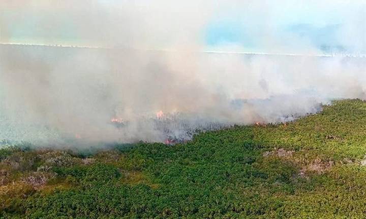 Conanp concluye diagnóstico por incendio en Holbox y evalúa posible veda ambiental
