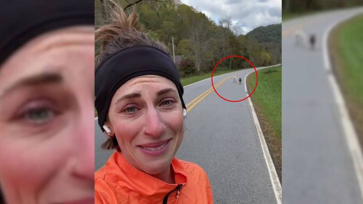 Woman’s Peaceful Jog Turns Into A Comedy Scene On North Carolina Country Road