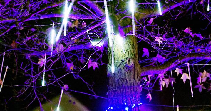 Christmas decorations a staple of the holiday season