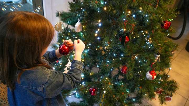 When is too early to put up your Christmas tree?