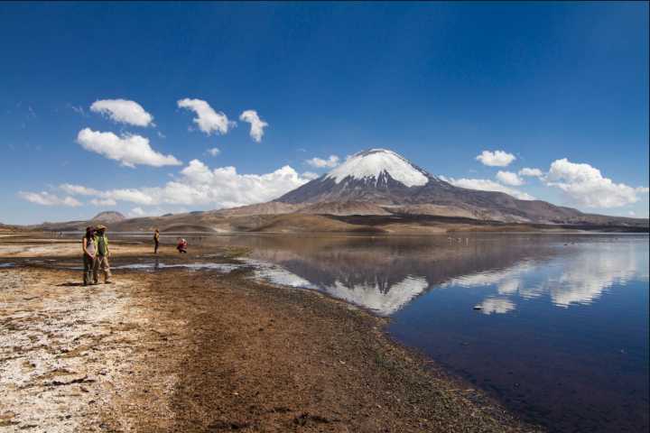 Lugares turísticos en Chile: cómo llegar al Parque Nacional Lauca
