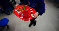 Welsh Government makes major announcement on free school meals