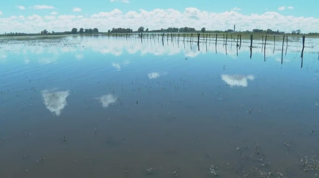 Lo que el agua se llevó: 9 de Julio perdió el equivalente a más de 115 mil sueldos por las inundaciones