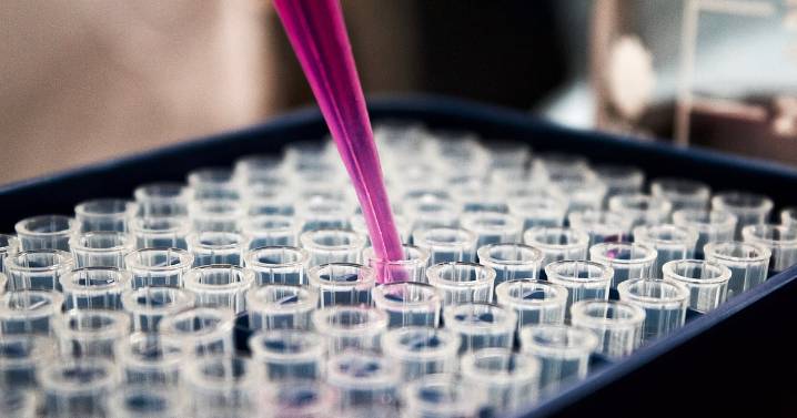 93% Crash To 1000% Surge: How A Rare Drug Discovery In A Rs 82,000 Crore Market Rescued An Indian Pharma Giant