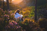 Why we need weird stories for a warming world