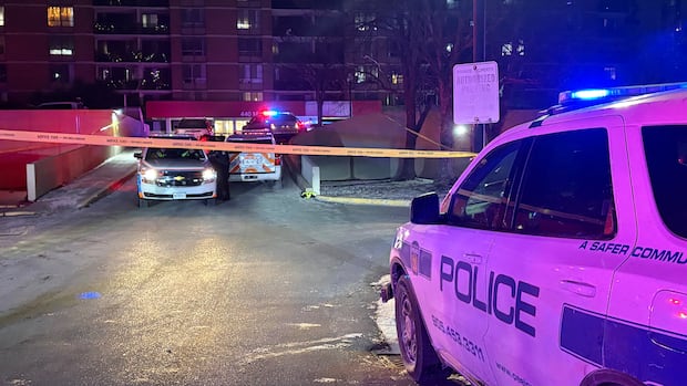 Teen dead after fatal stabbing in Brampton: police
