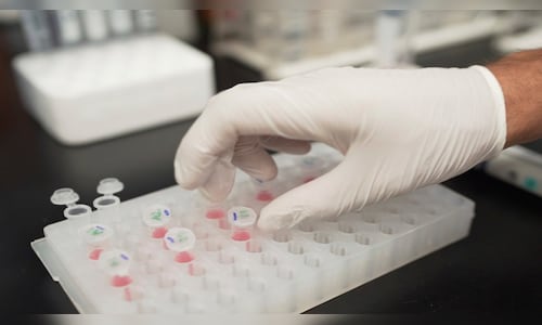 Ipca Laboratories' Tarapur API plant receives US FDA Form 483 with three observations