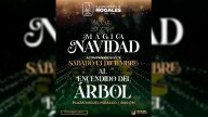 Invitan a ciudadanos a celebrar el inicio de la Navidad con encendido del árbol