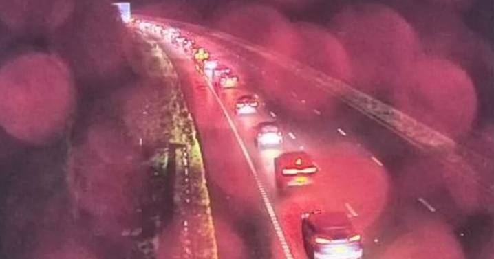 Horror as man found dead on M4 motorway as police issue statement