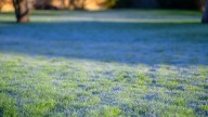Two Important Lawn Care Tasks You Don't Want To Forget Doing Before Frost Comes