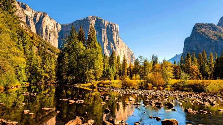 Yosemite’s Little-Known Ban Puts A Stop To One Kind Of Souvenir Hunting